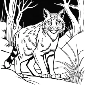Bobcat coloring page with nocturnal prowling coloring page