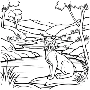 Bobcat coloring page by the river coloring page