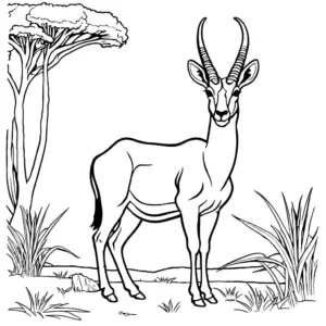 Standing antelope line drawing in natural habitat coloring page