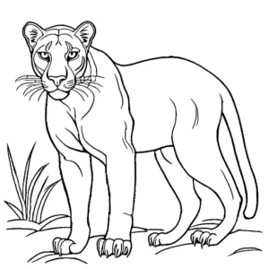 Vigilant panther keeping watch in the dark coloring page