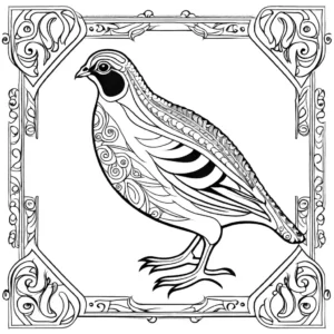 Artistic interpretation of quail with intricate patterns and designs coloring page