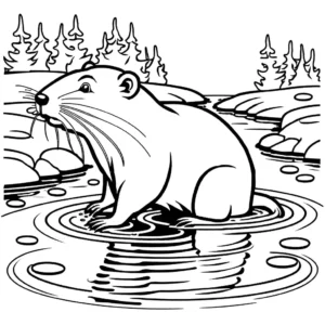 Simple sketch of a beaver with a round body wading in a shallow stream, suitable for coloring page