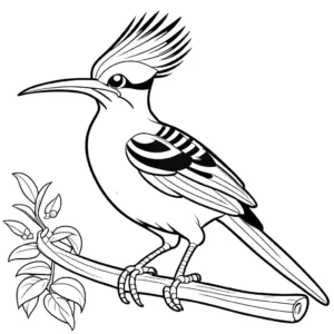 Cute cartoon Hoopoe bird coloring page with happy expression coloring page