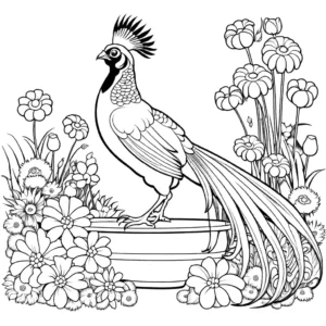 Coloring page of an elegant Pheasant with a flowing tail in a garden full of colorful flowers coloring page