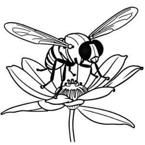 Fly coloring page hovering over a flower and sipping nectar with its extended proboscis coloring page