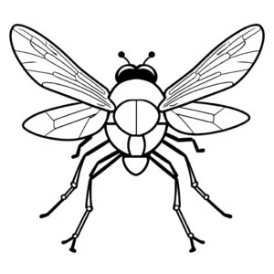 Coloring page of a fly in a simplified geometric style with angular wings and eyes coloring page