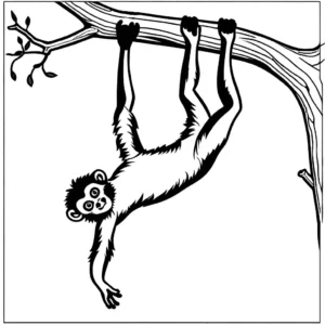 Gibbon coloring page hanging upside down from a tree branch coloring page