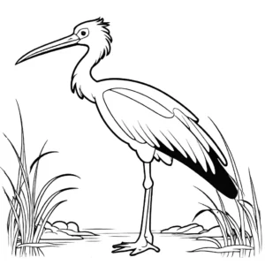 Stork bird with large beak and graceful posture in a natural setting coloring page