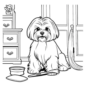 Maltese dog getting groomed with a brush coloring page