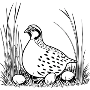 Quail nest with eggs hidden in tall meadow grass coloring page