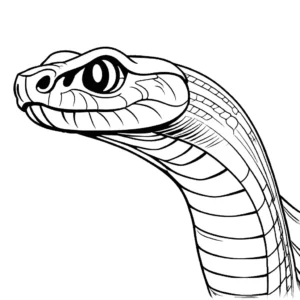 Detailed outline of a cobra with hood expanded for coloring page