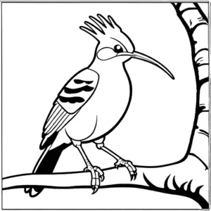 Hoopoe bird outline coloring page