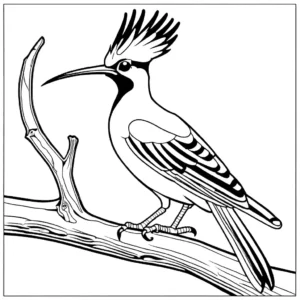 Artistic Hoopoe bird coloring page holding a worm coloring page