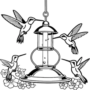 Multiple hummingbirds feeding on nectar at feeder coloring page