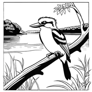 Kookaburra bird coloring page with river view in background coloring page
