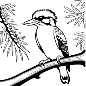 Kookaburra bird coloring page with sunset in background coloring page