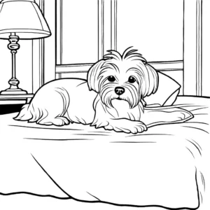 Maltese dog lying on a bed with a blanket and pillow coloring page