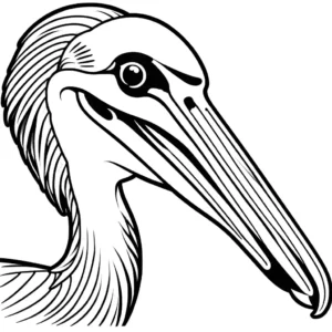 Close-up of a Pelican bird's head with open beak coloring page