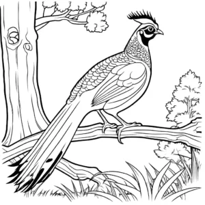 Coloring page of a Pheasant roosting on a tree branch in a woodland environment coloring page