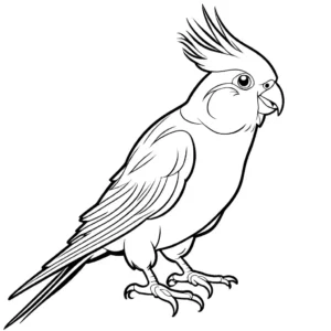 Outlined Cockatiel with playful expression coloring page