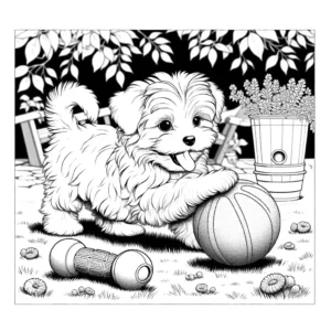 Maltese puppy playing with ball in backyard coloring page
