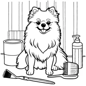 Pomeranian dog being groomed with a brush and scissors by a groomer coloring page illustration coloring page