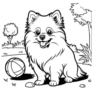 Pomeranian puppy playing with a ball in a sunny backyard coloring page illustration coloring page