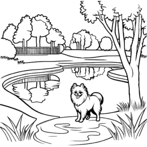 Pomeranian dog taking a walk in a park with trees and a pond coloring page illustration coloring page
