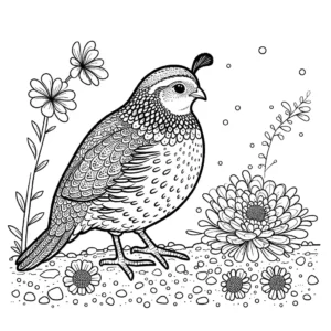 Quail standing on the ground with flowers in the background coloring page