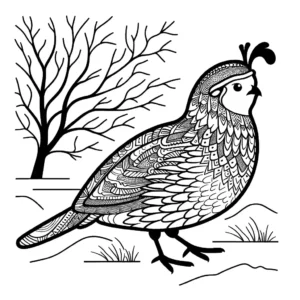 Quail with feather pattern standing in nature setting with trees in the background coloring page