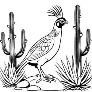 Quail with vibrant feathers in desert landscape with cactus and rocks coloring page