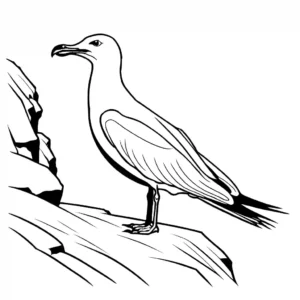 Seagull perched with folded wings on rocky cliff coloring page