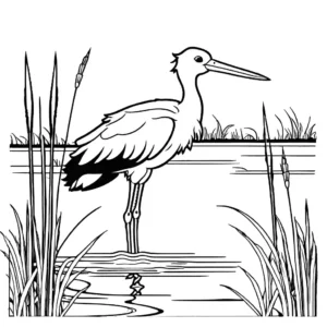 Stork bird in natural wetland habitat with reeds and blue sky coloring page