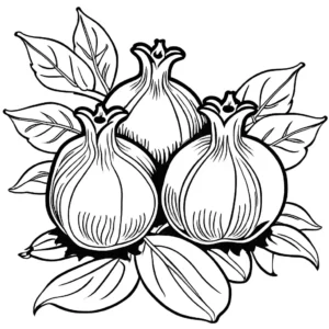 Artistic pomegranate illustration with fruits and blossoms for coloring page