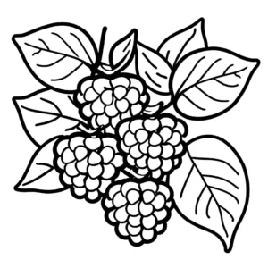 Blackberry fruits with leaves and thorns outline coloring page
