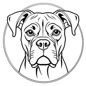 Outline drawing of focused Boxer Dog head with floppy ears coloring page