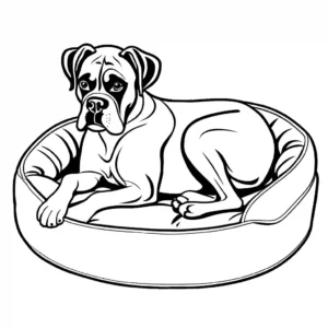 Boxer dog lying on a cozy dog bed with toys around coloring page