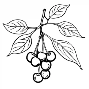 Cherry fruit and leaves coloring page