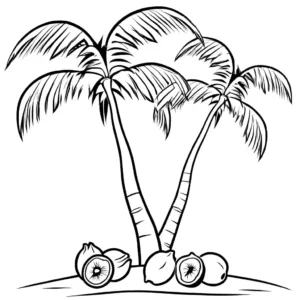 Coconut Tree with Hanging Coconuts coloring page