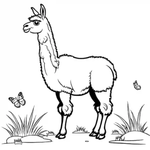 Llama with Butterfly Coloring Page