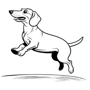 Dachshund dog leaping to catch a frisbee in mid-air coloring page