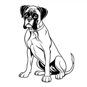 Detailed black and white sketch of obedient Boxer Dog with collar and leash coloring page
