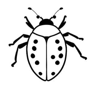 Simple black and white outline of a red ladybug with black spots for kids to color coloring page