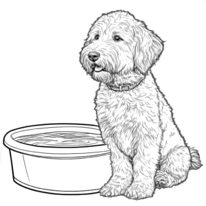 Adorable Goldendoodle dog sitting next to a water bowl with a wagging tail, waiting to be colored coloring page
