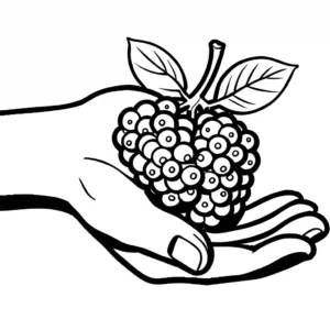 A hand filled with freshly picked ripe blackberries, ready to be savored coloring page