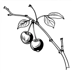 Ink drawing of cherry fruit on white background coloring page