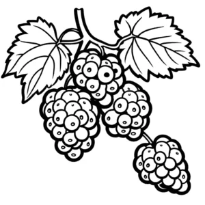 Close-up of juicy blackberries on a vine coloring page