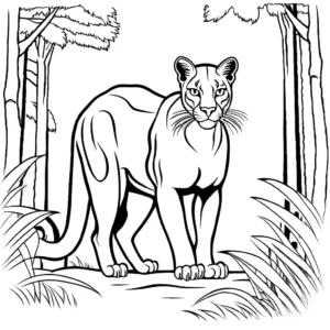 Puma coloring page in the forest coloring page