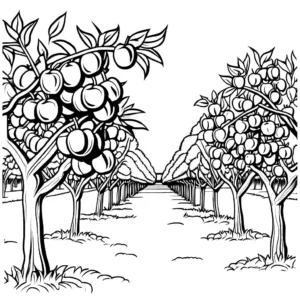 Peach orchard with trees full of peaches coloring page