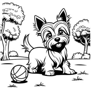 Cheerful Yorkie dog playing with a ball in the park coloring page